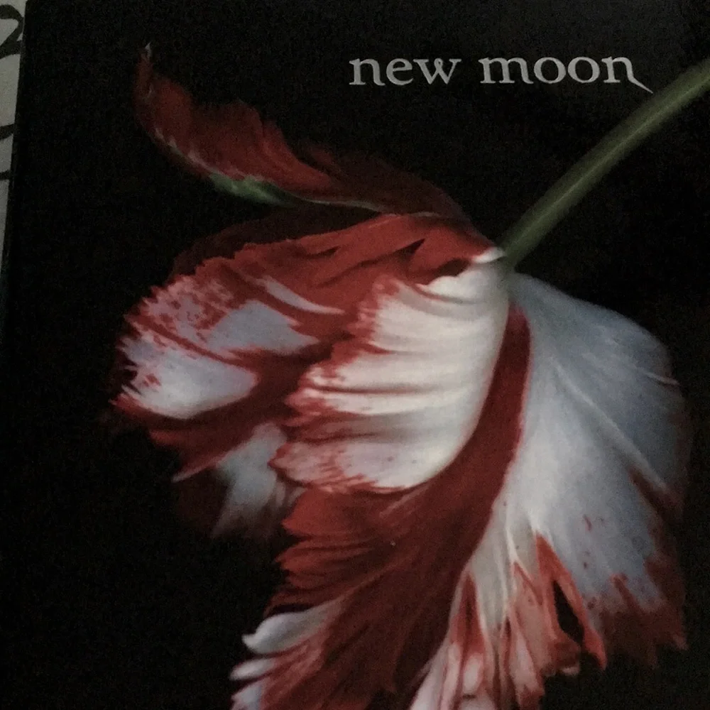 New Moon Twilight Saga Book 2 Stephenie Meyer Paperback 2008 Vampire Fiction